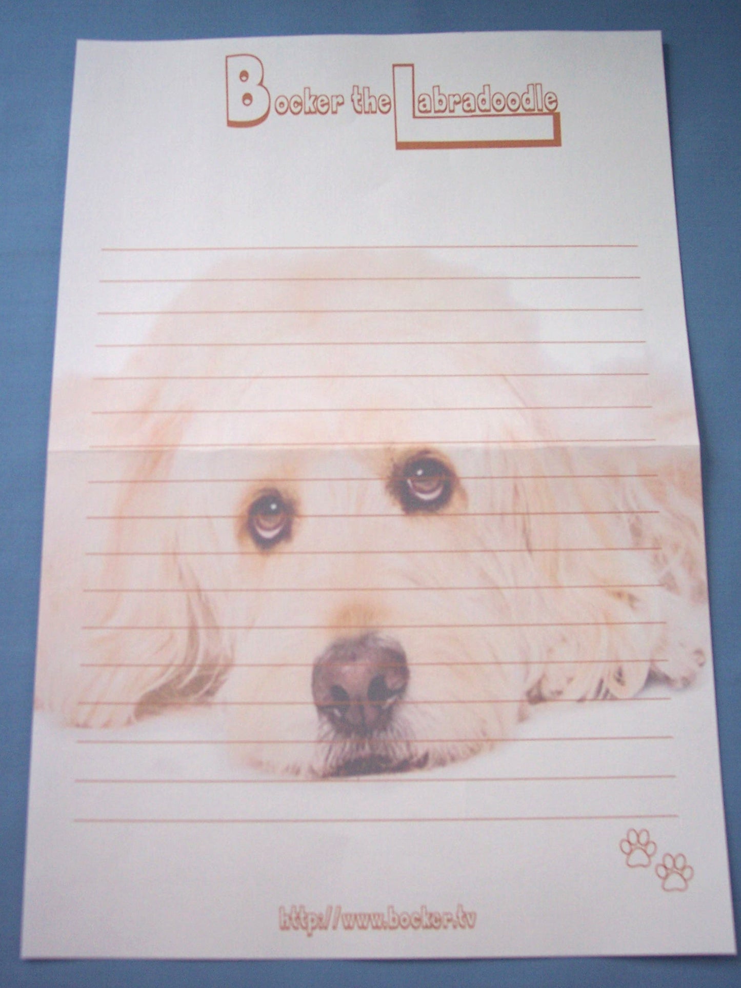 Pet Stationery & matching Envelope Sample