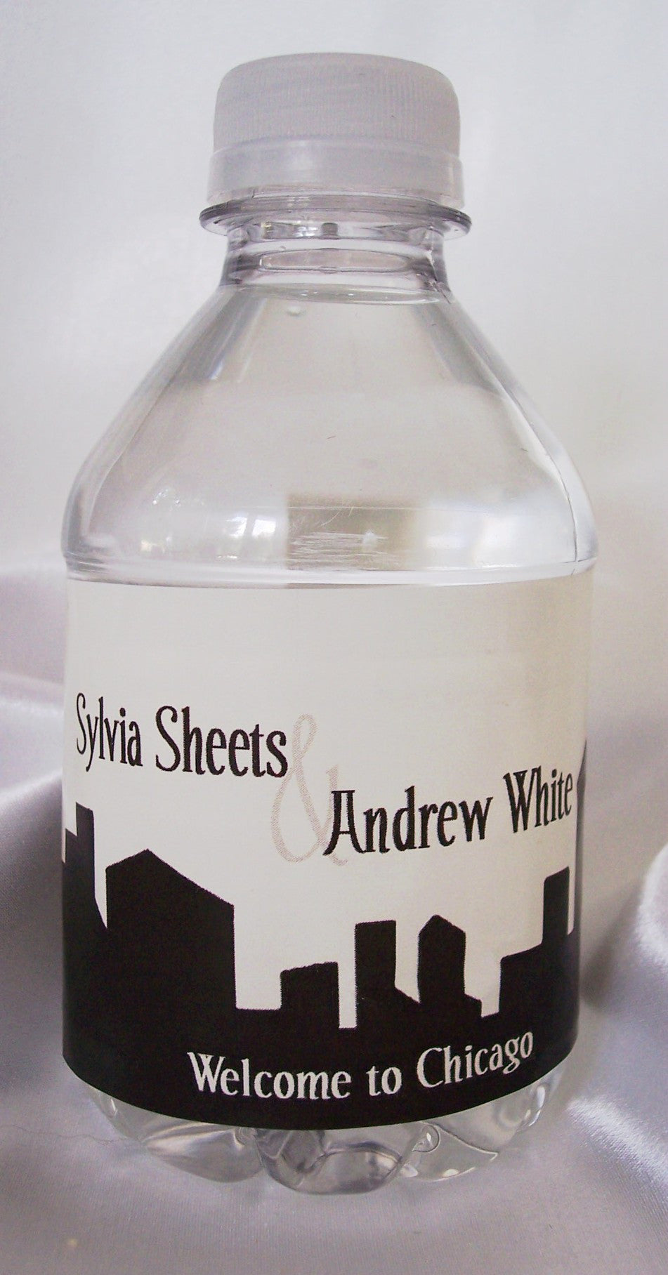 Chicago Skyline Wedding Invite Sample