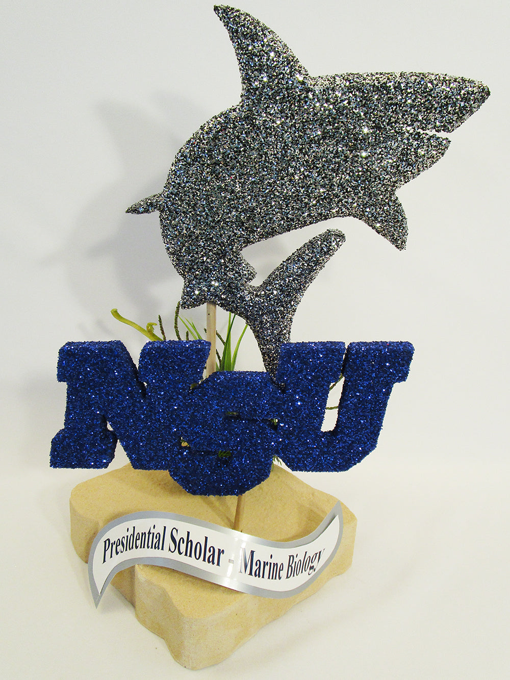 Sharks in the Pros - Nova Southeastern University Athletics
