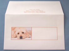 Load image into Gallery viewer, Pet Stationery &amp; matching Envelope
