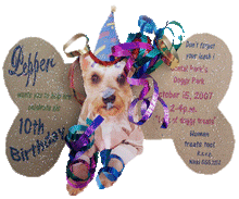 Load image into Gallery viewer, Custom Dog Birthday Cutout Invite

